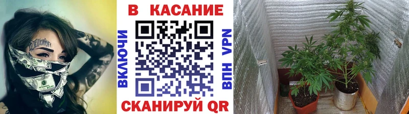 Где купить Красноармейск ГАШИШ МАРИХУАНА A-PVP МЕФ КОКАИН