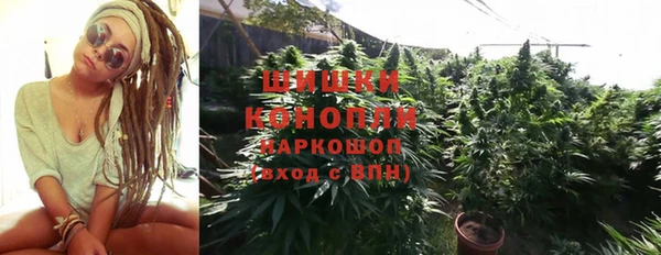 MESCALINE Коряжма