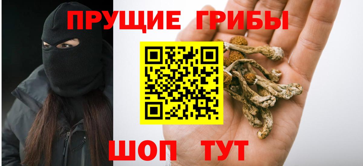 купить наркотики цена  Вход с VPN  Галлюциногенные грибы Cubensis  Красноармейск  Псилоцибиновые грибы мицелий 